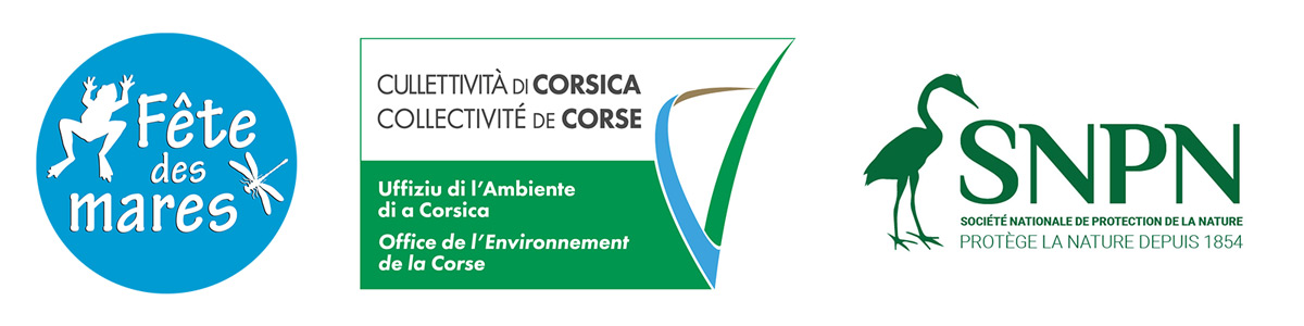 FESTA DI I POZZI 2025