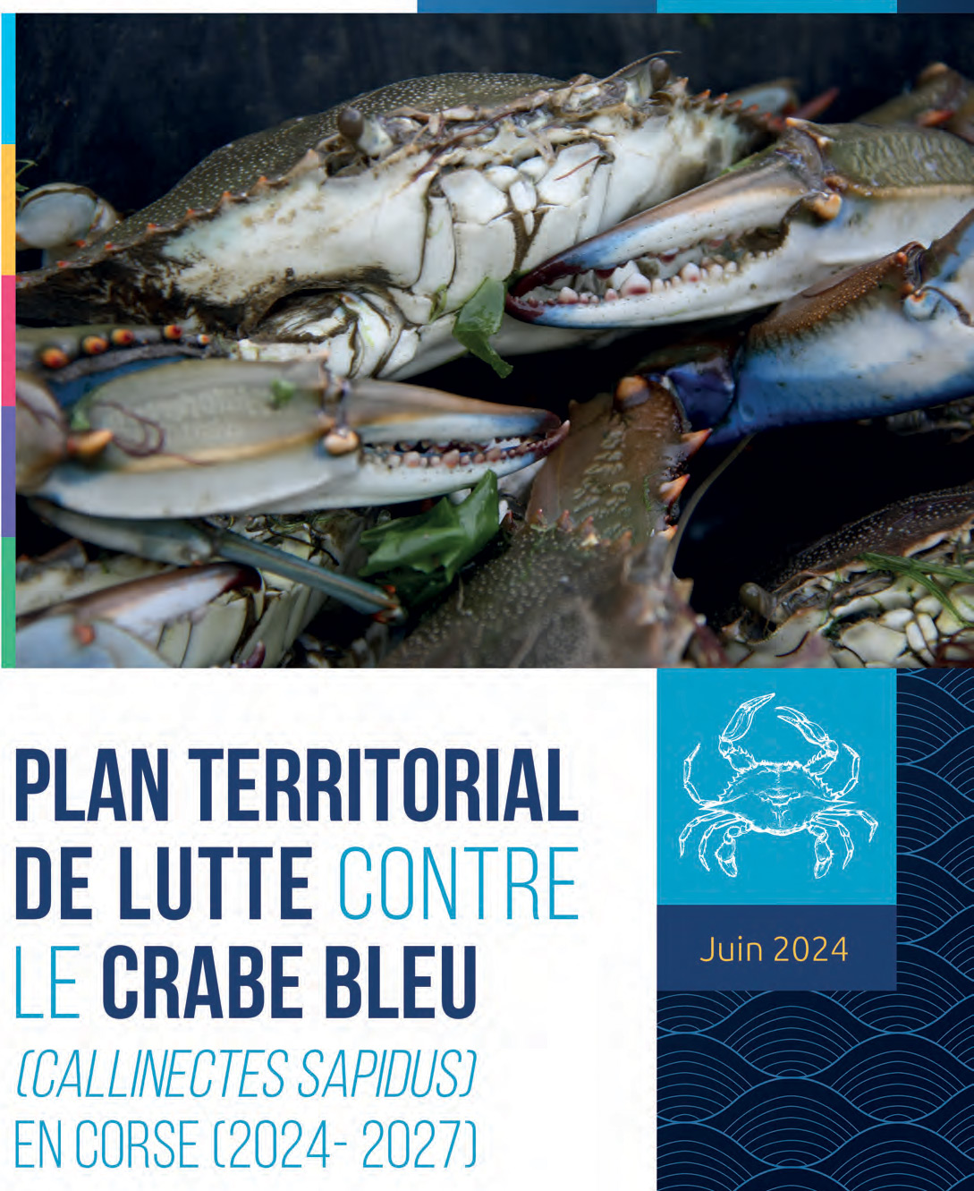 Le plan territorial de lutte contre le crabe bleu