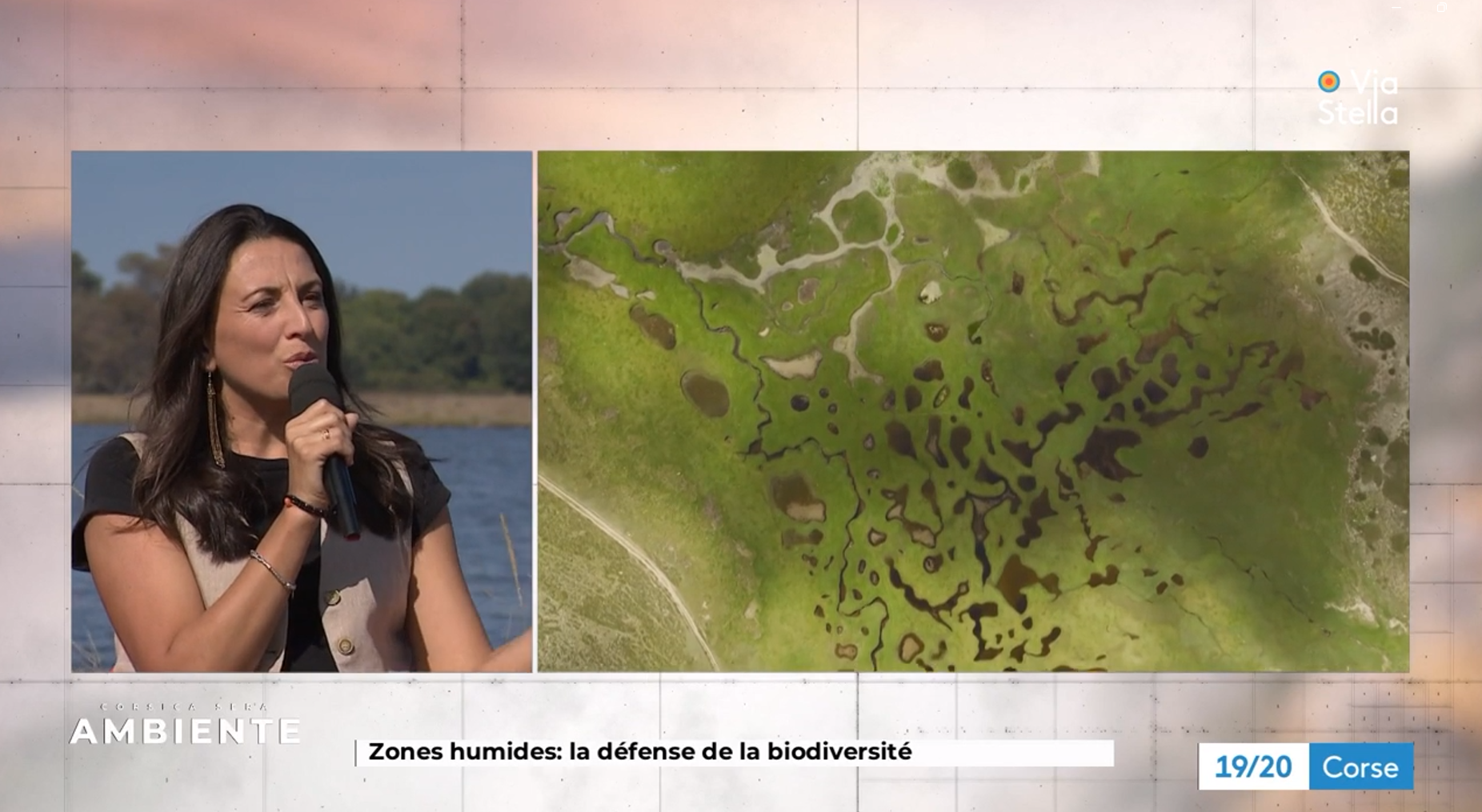 Zones humides : comprendre et protéger nos infrastructures naturelles