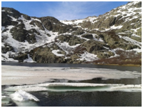 U prugramma "Lavi" U prugramma "Lavi"