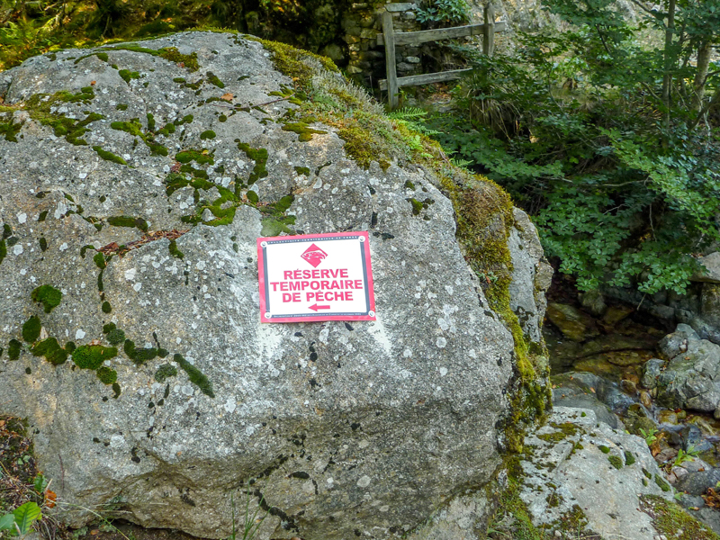 I pesci di fiumi I pesci di fiumi