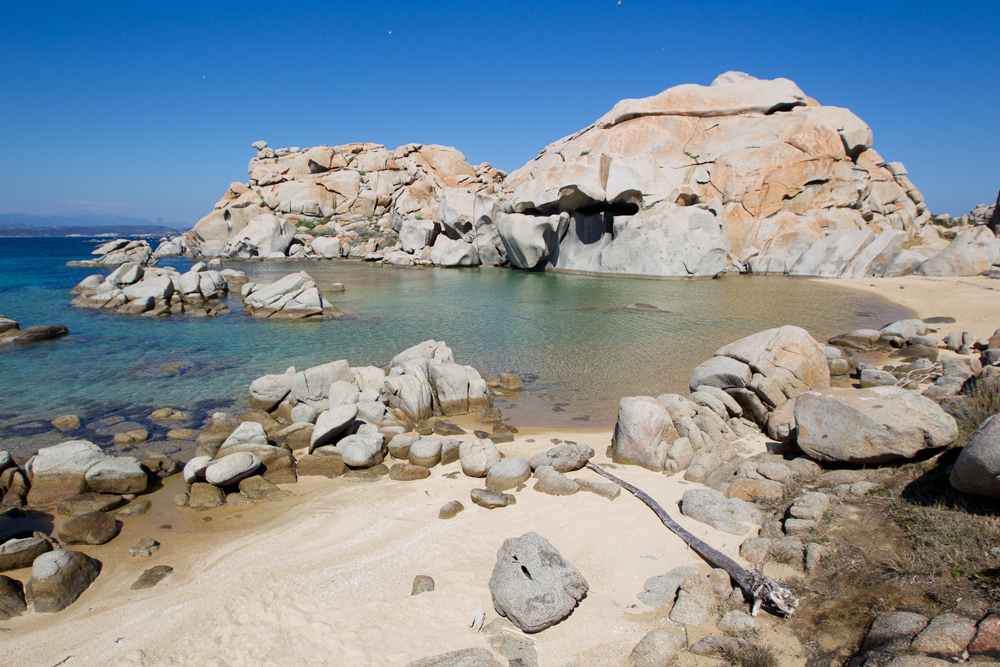 L’île Lavezzu abrite de nombreuses espèces endémiques à l’abri de ses chaos rocheux. (photo : O. Bonnenfant/OEC)