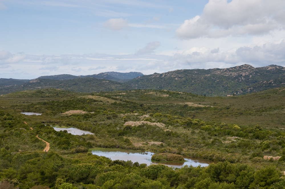 La Réserve Naturelle des Tre Padule de Suartone préserve quatre mares temporaires et leurs bassins versants. (photo : O. Bonnenfant/OEC)