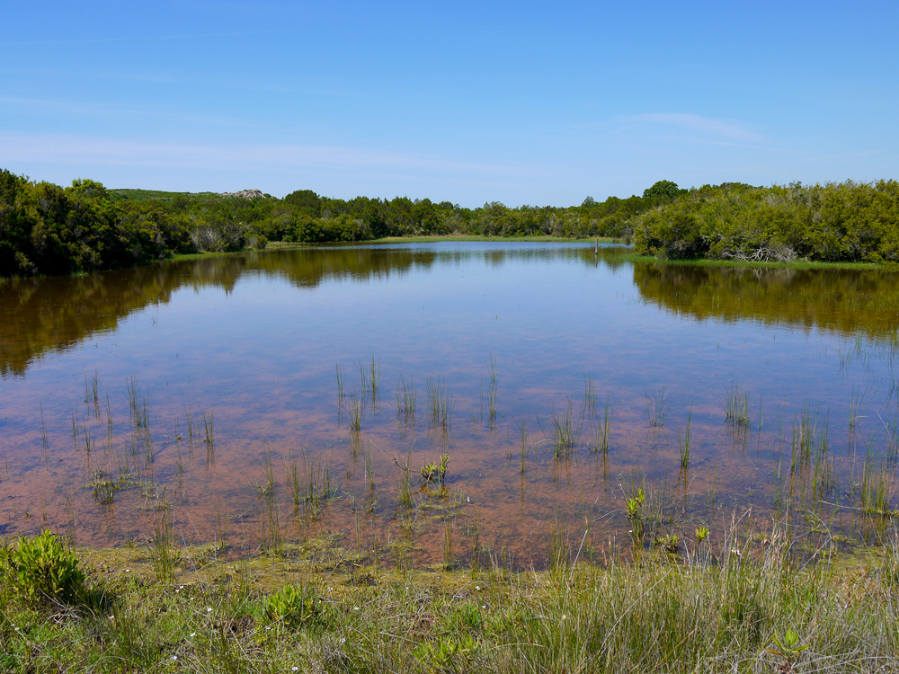 La mise en eau des mares s’étend selon les années de la fin de l’automne à celle du printemps. (photo : C. Clauson/OEC)