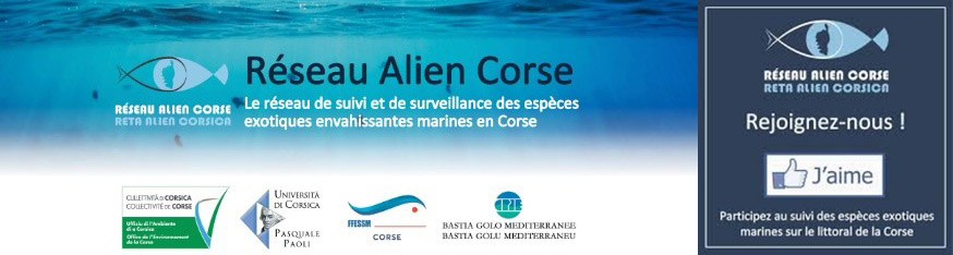 Sous-marin Comex
