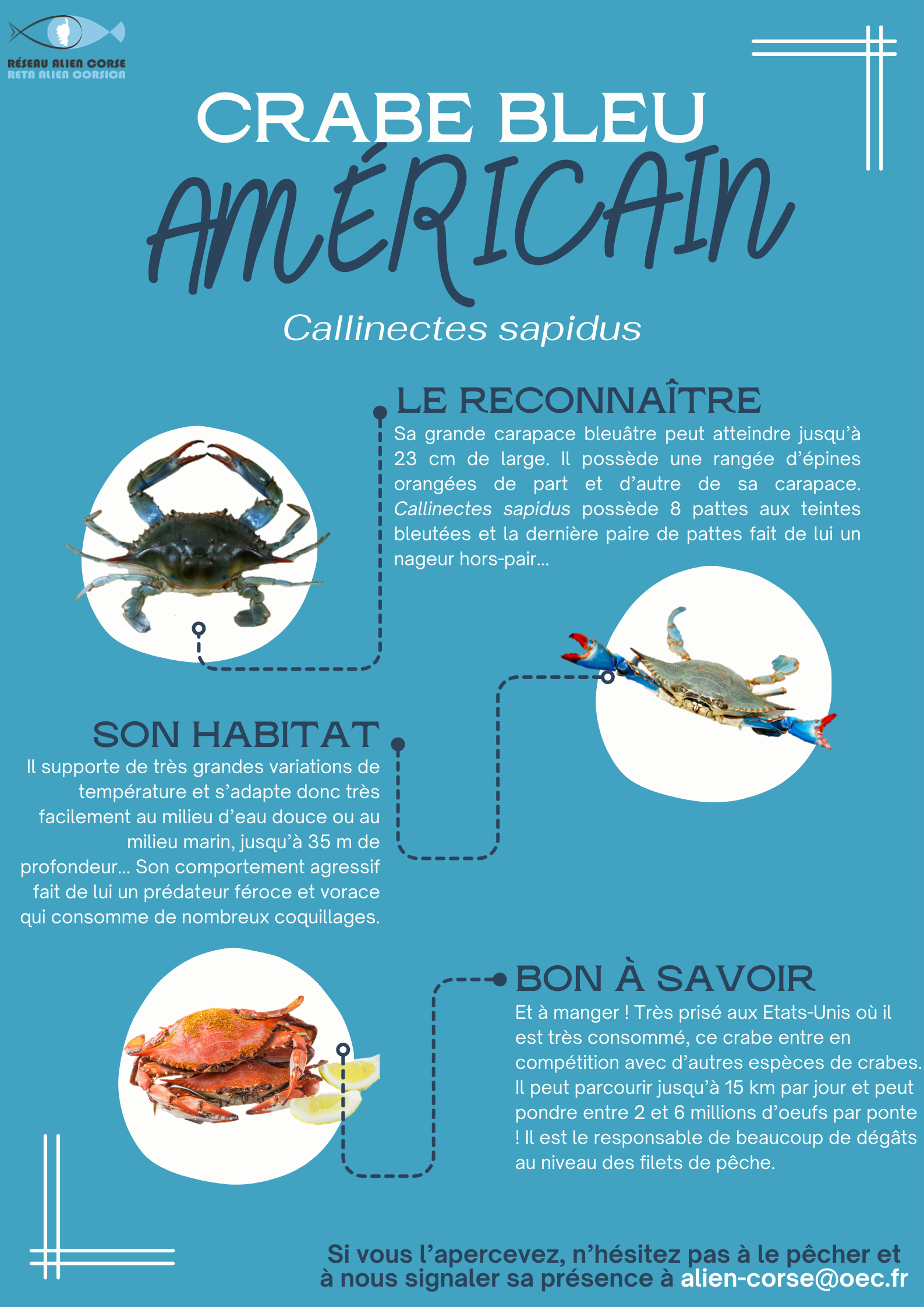 A rete "Alien Corsica"