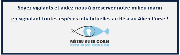 A rete "Alien Corsica"
