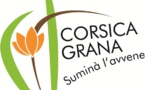  Corsica grana : messa in ballu