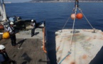 Maison de poissons : trois récifs artificiels dans le golfe d'Ajaccio
