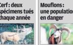 Espèces menacées, l'homme accélérateur d'extinctions
