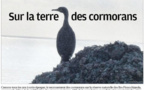 Sur la terre des cormorans