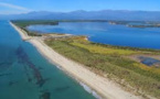 L'étang d'Urbinu, joyau de la biodiversité