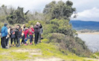 A la découverte des zones humides avec les collégiens