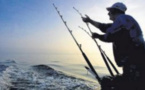 Pêche de loisir, l'obligation de déclarer
