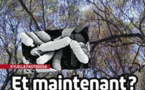Xylella Fastidiosa : Et maintenant ?