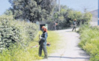  La non-utilisation de pesticides vaut un label à la commune