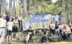 A festa di u legnu milite pour la relance de la filière
