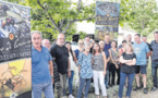 Les oléiculteurs de Corse entre production et protection