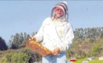 Jean Mary : "Il faut soigner l'image de l'apiculture"