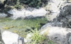 Dépolluer la rivière de Figarella coûterait 369 000 euros !