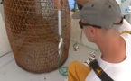 Tema pêche : dans la réserve naturelle des bouches de Bonifacio, concilier pêche et biodiversité