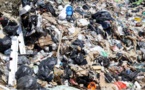 Déchets : les élus du Fium'Orbu attendent des réponses