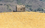  La Corse épicentre du seisme climatique