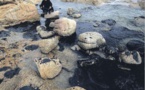 Hydrocarbures, la dépollution des plages varoises va débuter