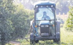 Pesticides : installer la culture du risque