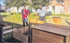 Des composteurs collectifs à coté des jardins partagés