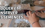 Troquer et conserver des semences