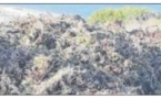 I Sbuleca Mare chasse les griffes de sorcières 