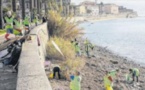 Mobilisation générale pour nettoyer les plages après la tempête Adrian