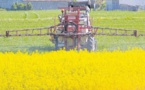 Emploi du glyphosate, la Corse-du-Sud parmi les vertueux