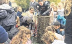 Crabes, crevettes et autres anguilles...