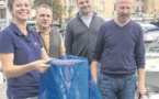 Dans le port de Saint-Florent, la nature reprend ses droits