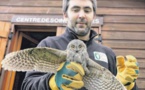 AMG express pour un Petit-duc