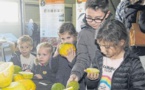 Quand les jardins de l'Inra s'ouvrent au grand public