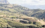 Aménagements et sécurisation sur la dangereuse route de Calvi