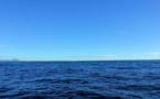 Une zone de contrôle des émissions pour les navires en Méditerranée