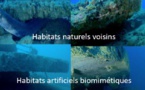 De la conception à l'éco-conception des ouvrages maritimes : intégrer la nature au projet d'aménagement maritime