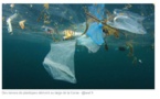 Une île de déchets plastiques dérive au large de la Corse