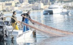 La pêche est très encadrée, elle subit 850 règlements européens