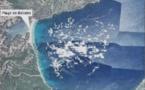 Les dégâts sur les posidonies cartographiés