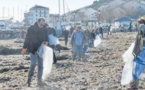 Un compromis pour nettoyer les posidonies sur les plages 