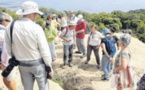 Balade en terres de Roccapina avec le botaniste Stéphane Rogliano