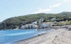 La baie de Meria doit gérer l'invasion de Posidonies