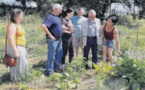 Le bonheur se trouve aussi dans "Mon jardin au naturel" 