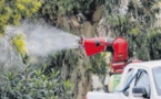  La xylella fastidiosa dans le viseur du ministère de l'Agriculture 