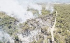 23 ha d'eucalyptus brûlés à Aghjone